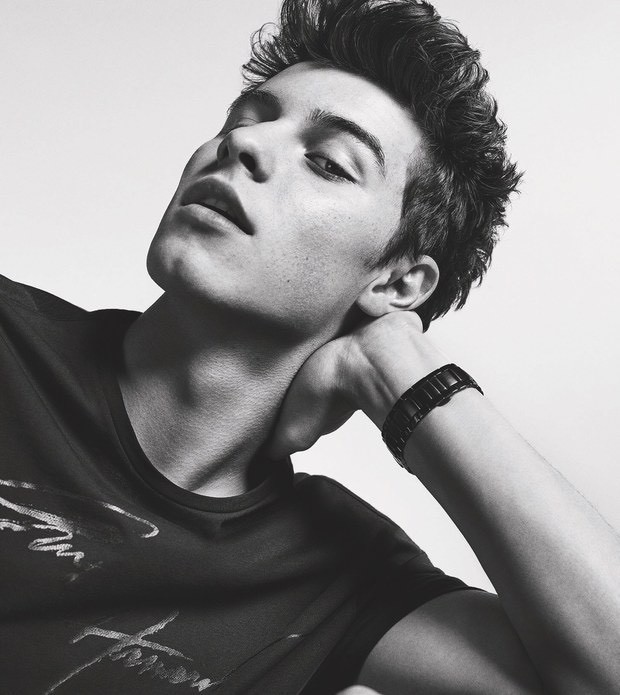 CLAUDINE BALTAZAR - PORTFOLIO - GROOMING